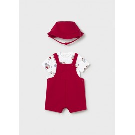 CONJUNTO PETO Y GORRO PERRO