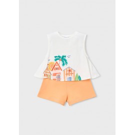 CONJUNTO PALMERA