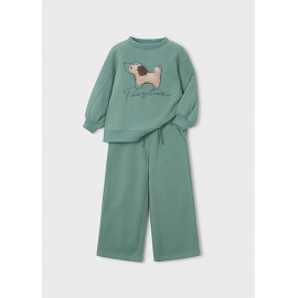 CONJUNTO PERRO